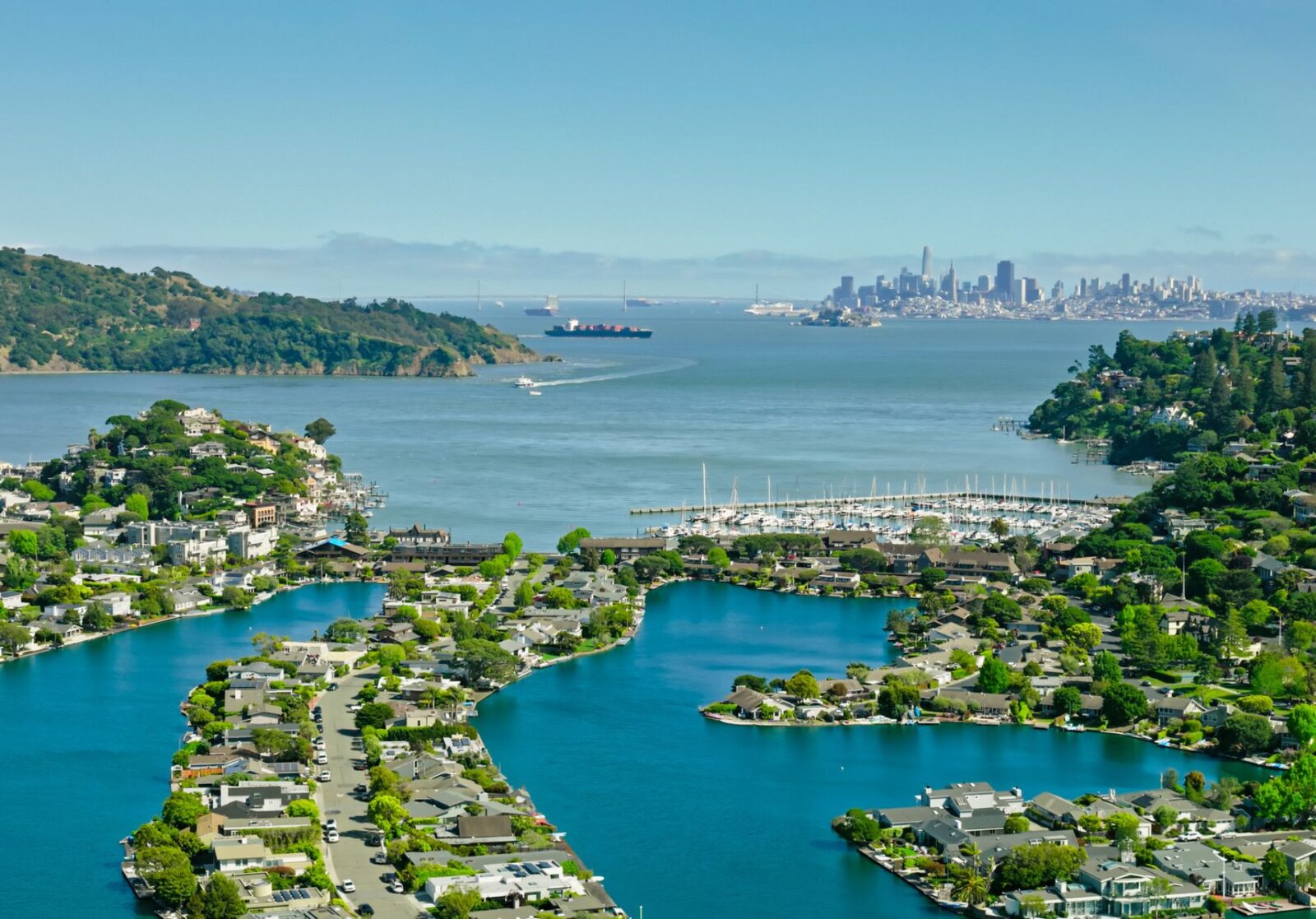 Tiburon City View