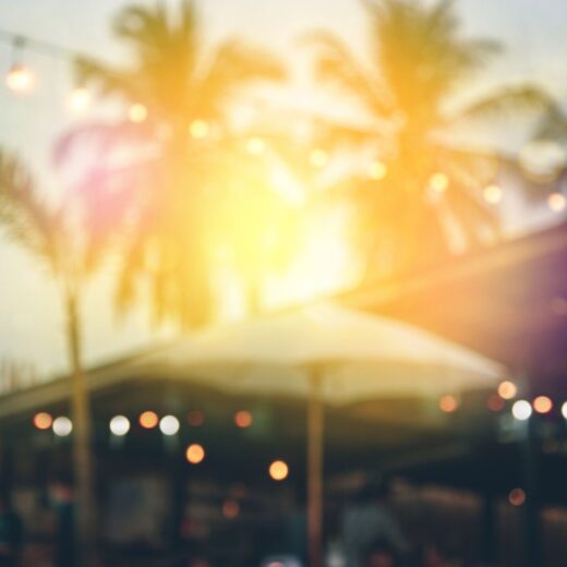 Image of Caramoor Summer Music Festival