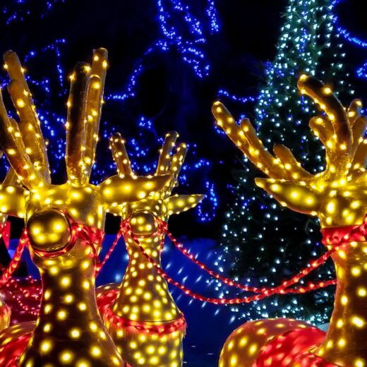 Image of Christmas on Euclid Historic Light Display