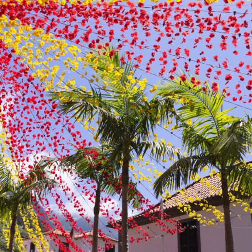 Image of Hialeah Art on the Palm Festival