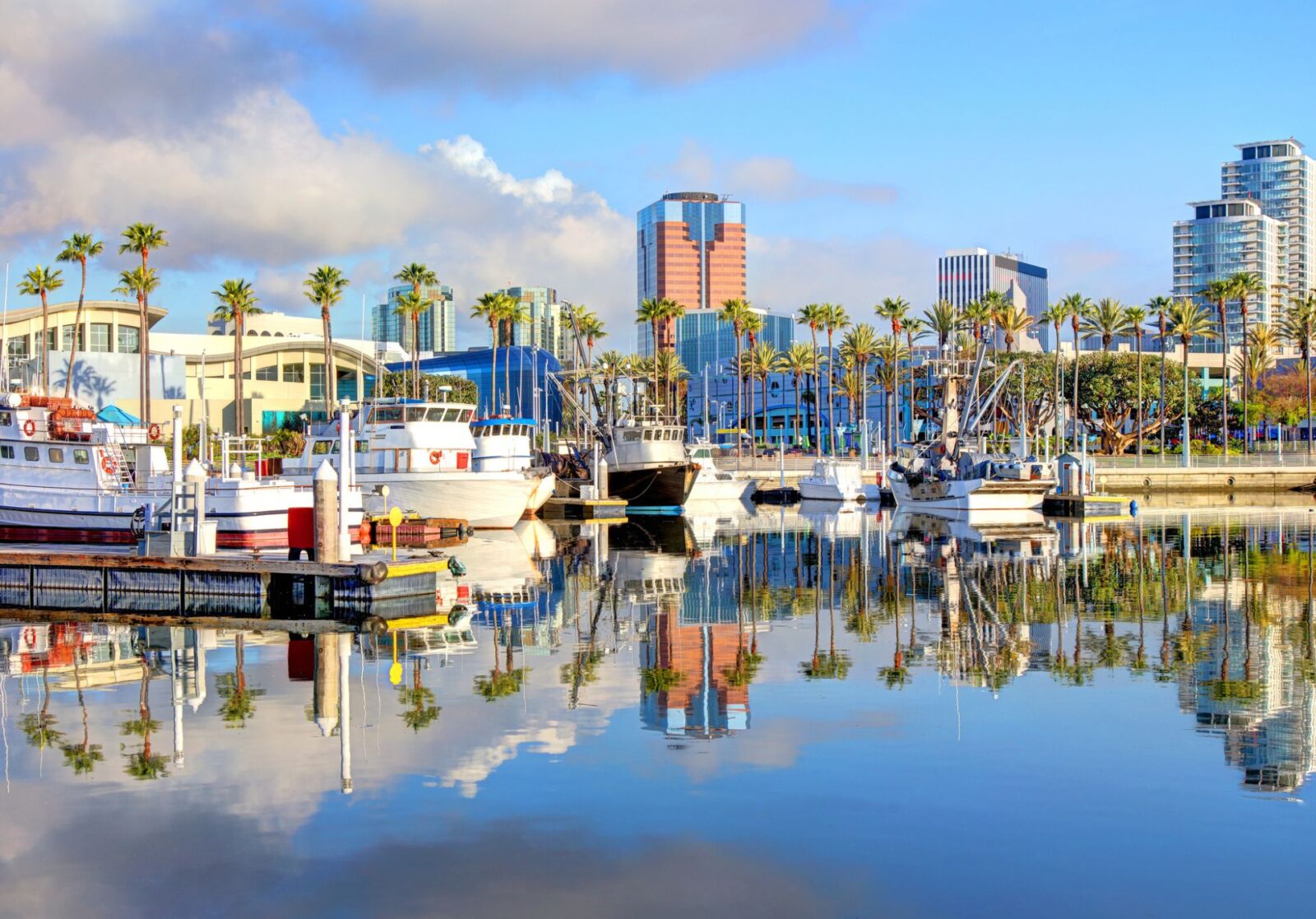 Long Beach City View