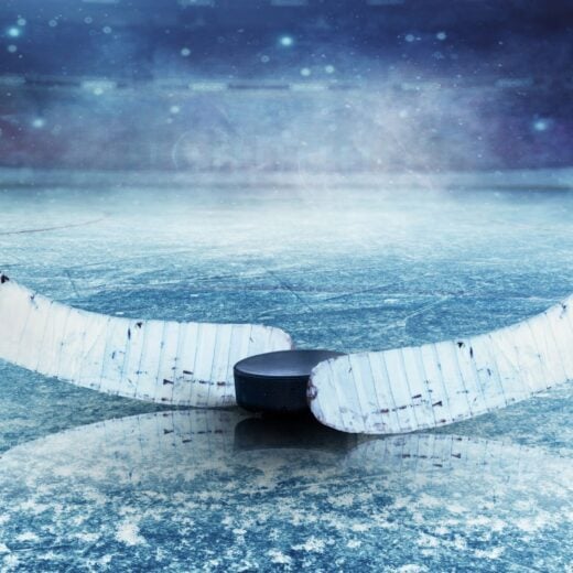 Minnesota Wild Games