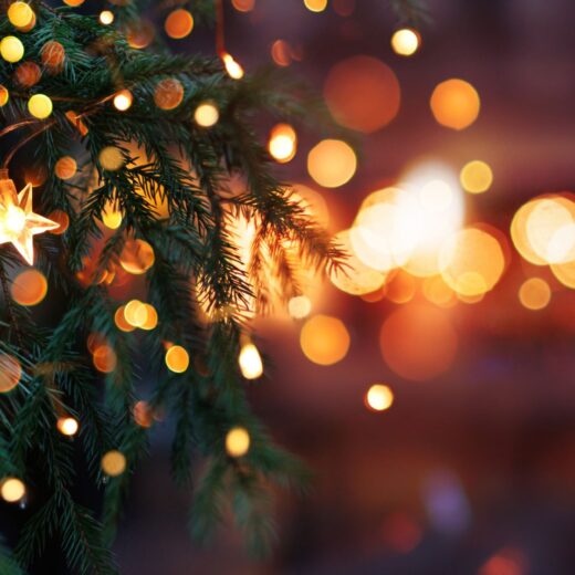 Image of Riverside Festival of Lights