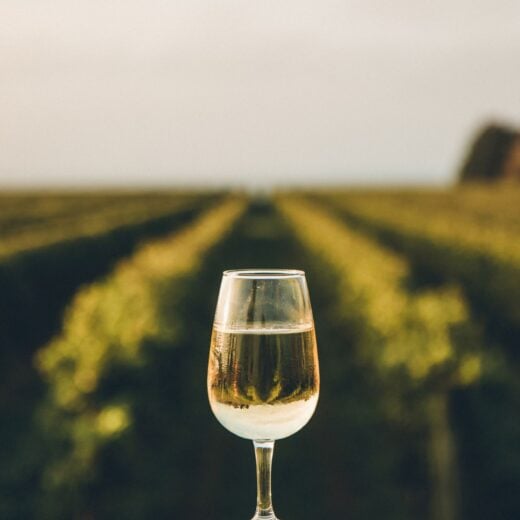 Image of Riverwalk Wine Festival