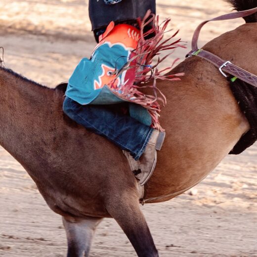 Image of SLE Rodeo