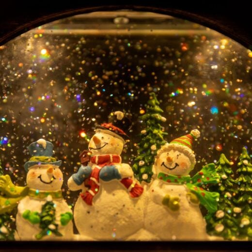 Image of Saint Paul Winter Carnival