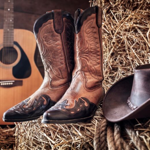 Image of Santa Clarita Cowboy Festival