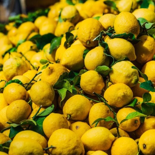 Image of Chula Vista Lemon Festival