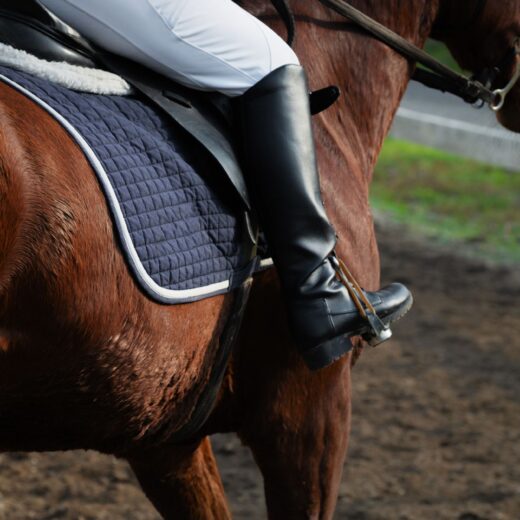 Image of Thoroughbred meet at Lone Star Park