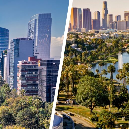 Mexico City and Los Angeles Views