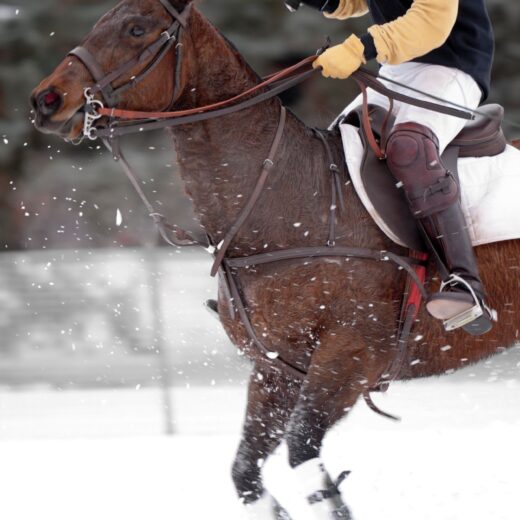 Image of Snow Polo World Cup St. Moritz