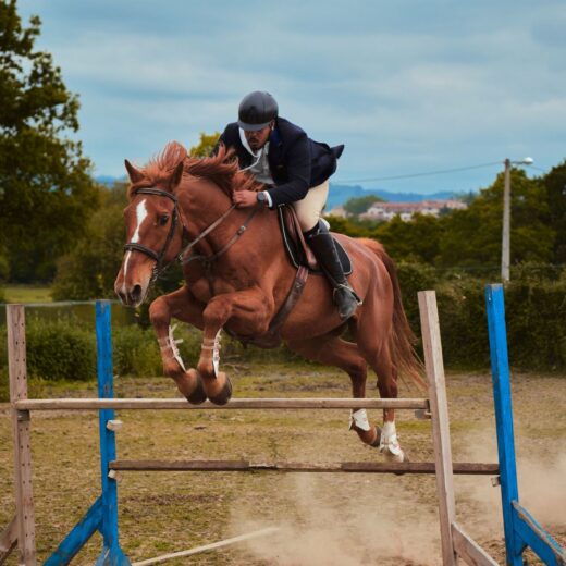 Image of Red Hills International Horse Trials