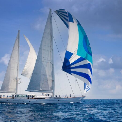 Image of St. Barts Bucket Regatta